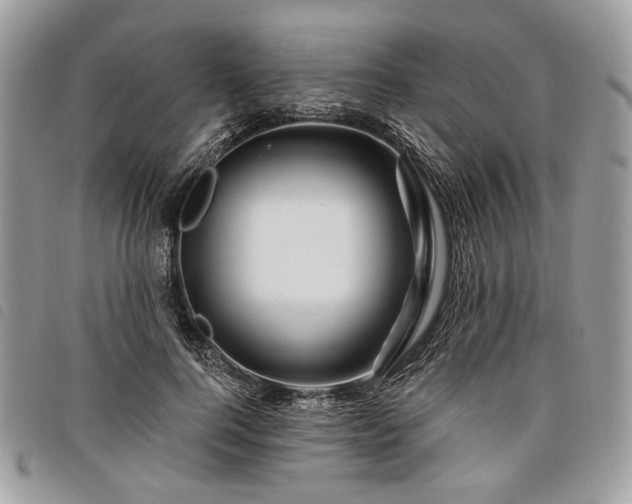 X0000098030744200804071416