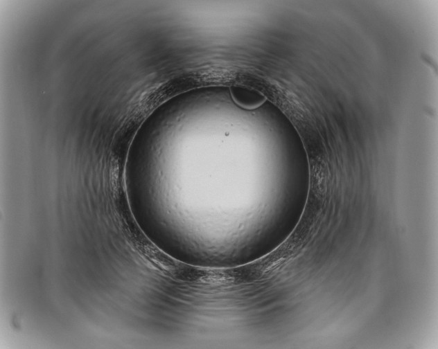 X0000098030745200804071416