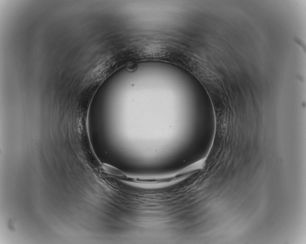 X0000098030746200804071416