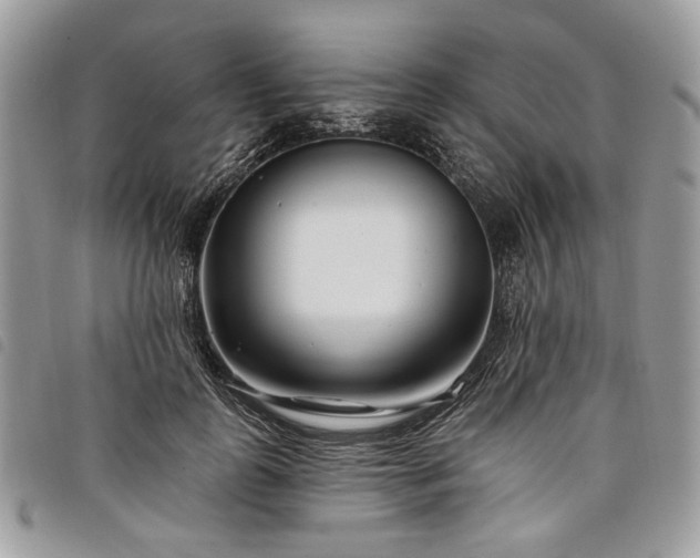 X0000098030747200804071416