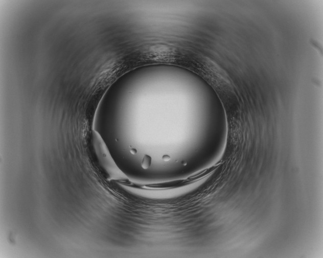 X0000098030748200804071416