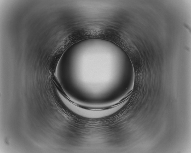 X0000098030750200804071416