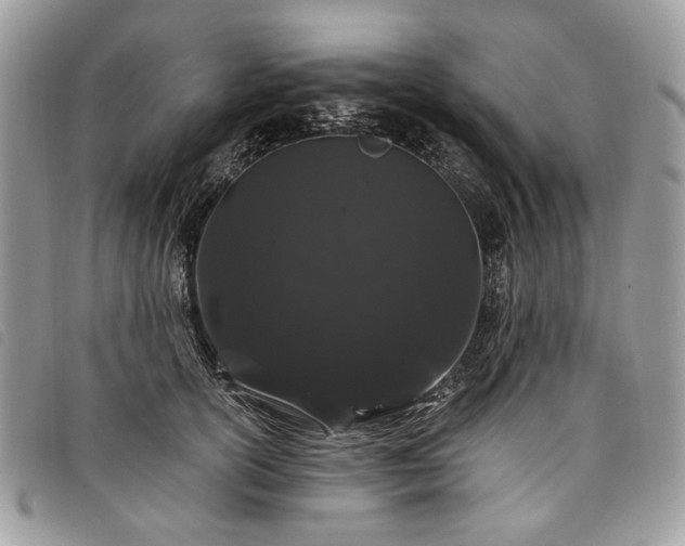 X0000098030754200804071416