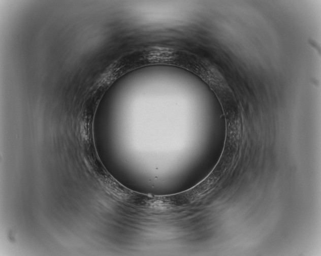 X0000098030755200804071416