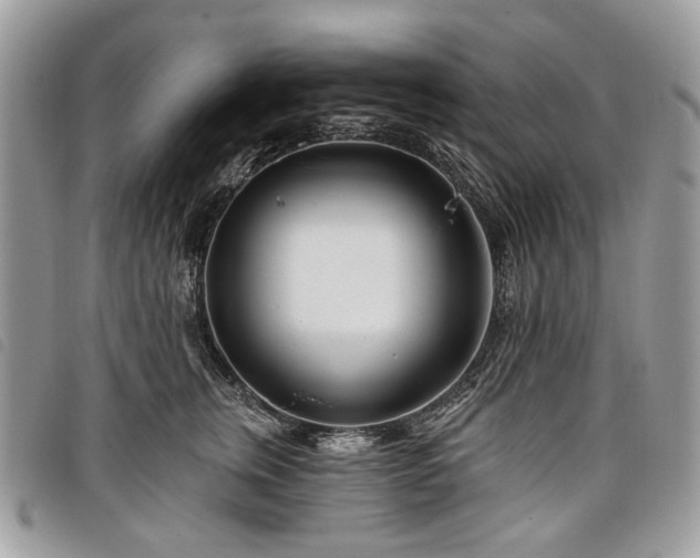 X0000098030759200804071416