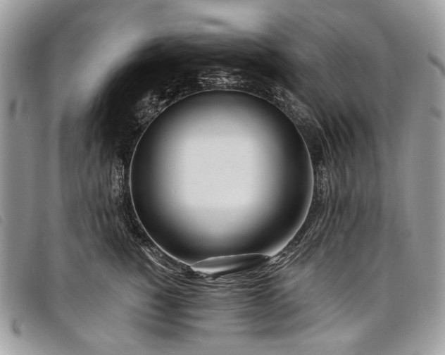 X0000098030760200804071416