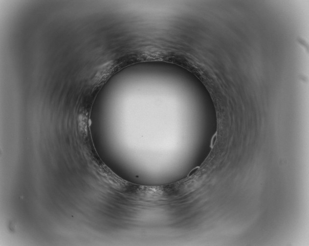 X0000098030768200804071416