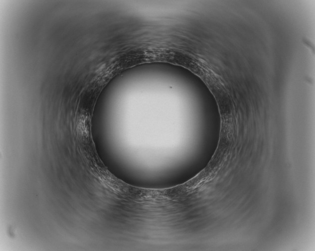 X0000098030770200804071416