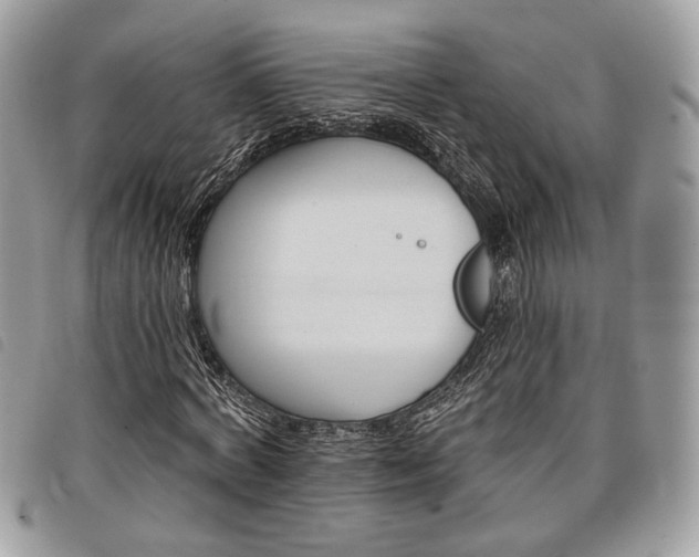 X0000098030772200804071416