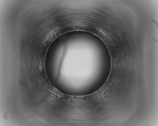 X0000098030774200804071415