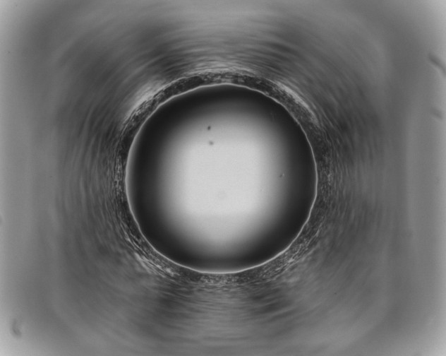 X0000098030775200804071415