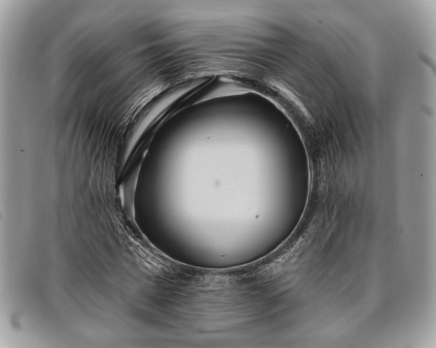 X0000098030777200804071415