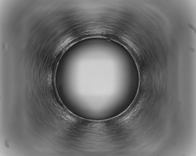 X0000098030778200804071415