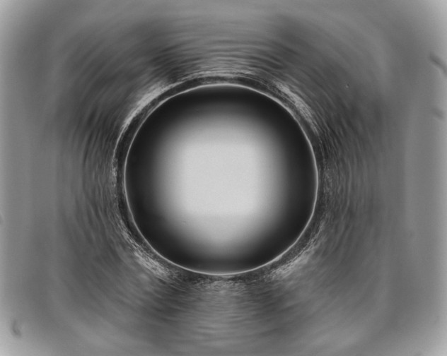 X0000098030779200804071415