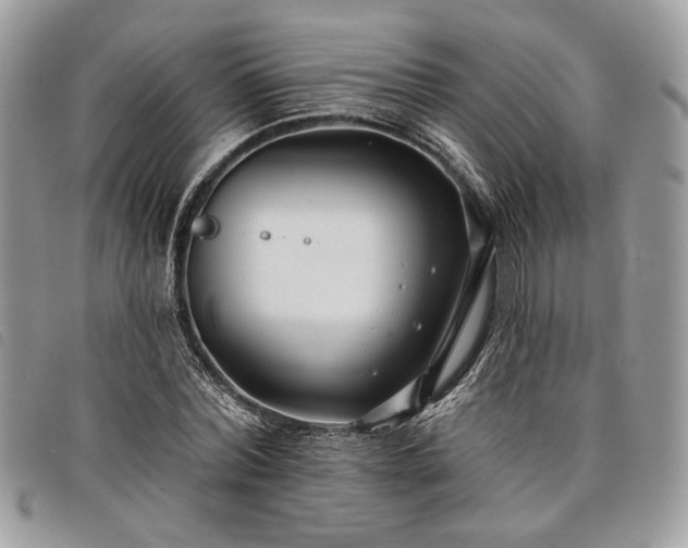 X0000098030780200804071415