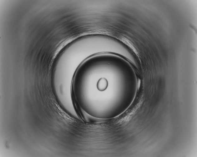 X0000098030781200804071415