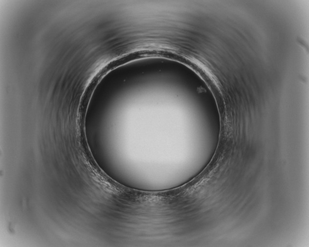 X0000098030783200804071415