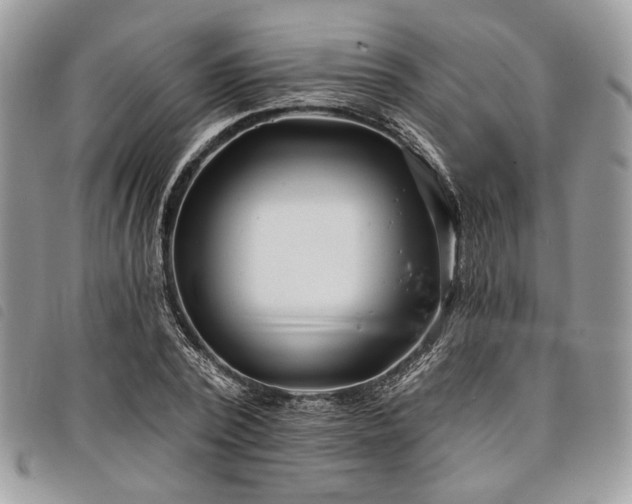 X0000098030784200804071415