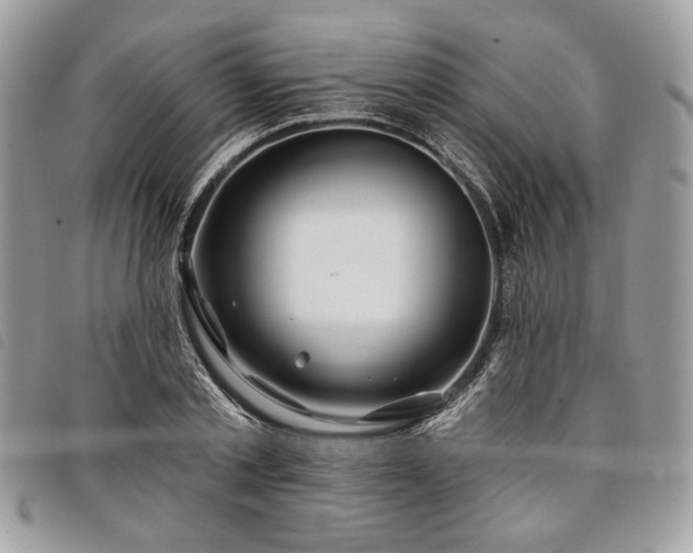 X0000098030789200804071415