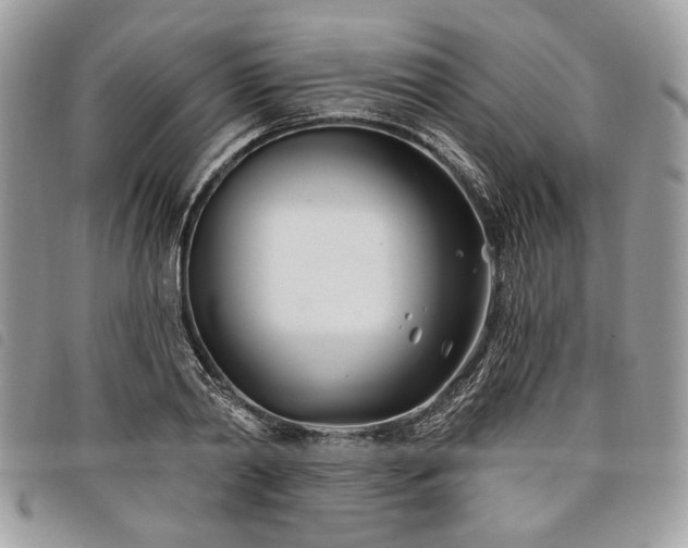 X0000098030790200804071415