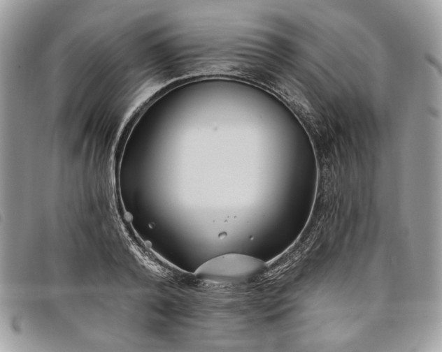 X0000098030792200804071415