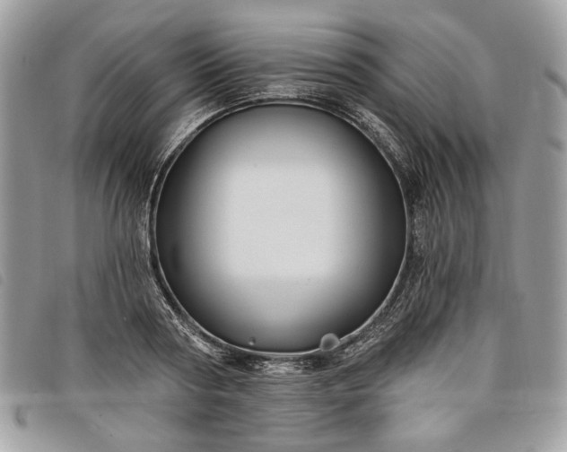 X0000098030794200804071415