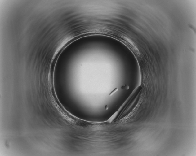 X0000098030796200804071415