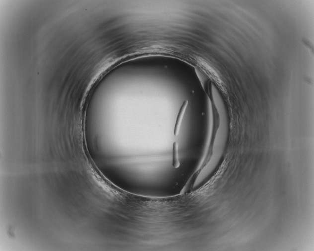 X0000098030800200804071415