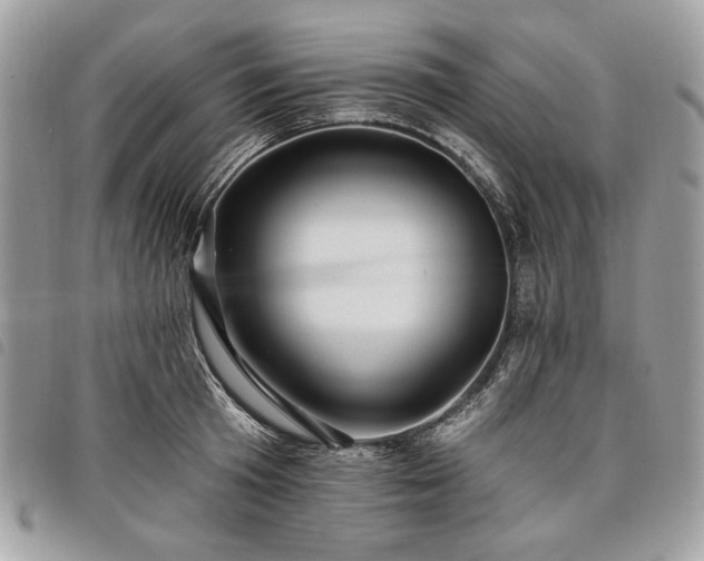 X0000098030801200804071415