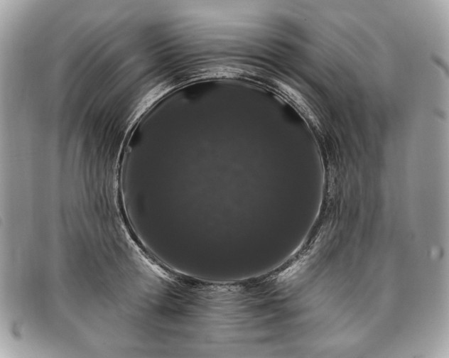 X0000098030802200804071415