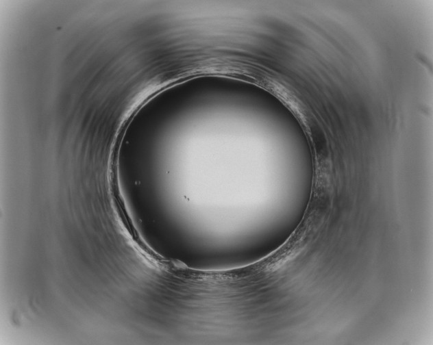 X0000098030803200804071415