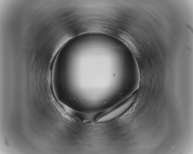 X0000098030804200804071415