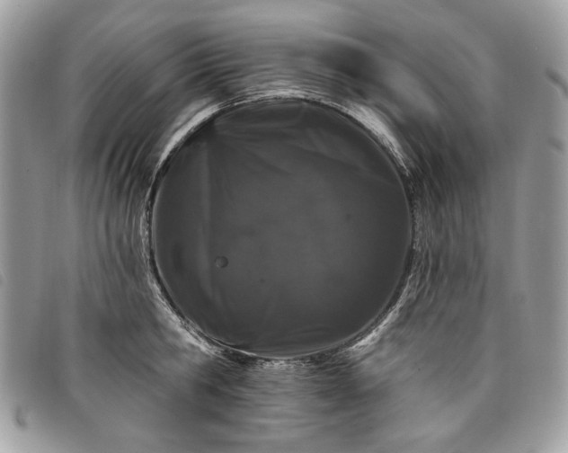 X0000098030806200804071415