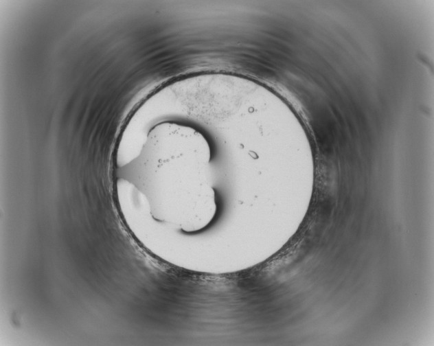 X0000098030807200804071415