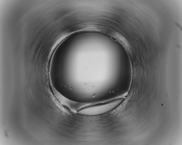 X0000098030808200804071415