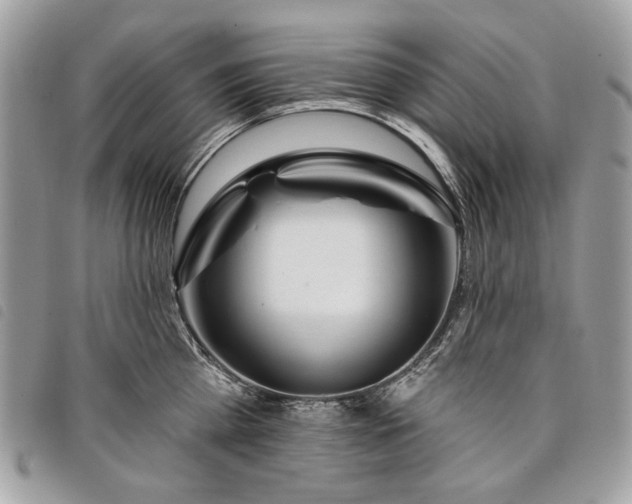 X0000098030809200804071415