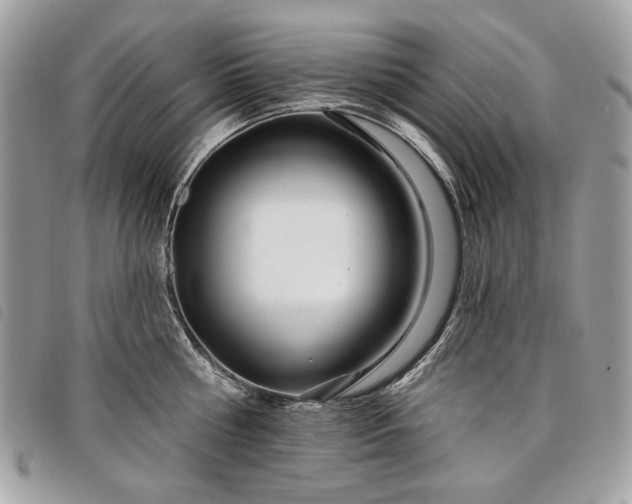 X0000098030810200804071415