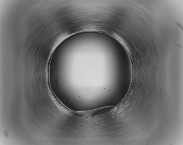 X0000098030811200804071415