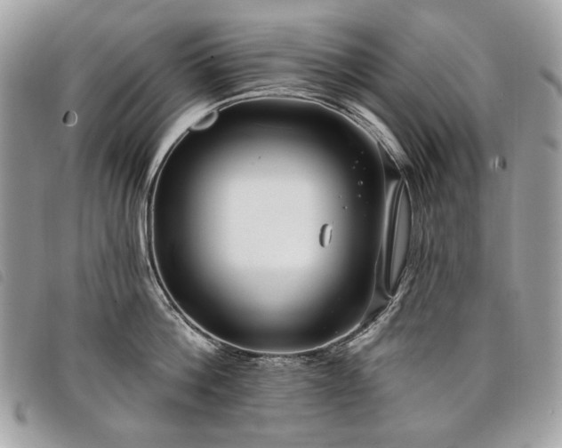 X0000098030812200804071415