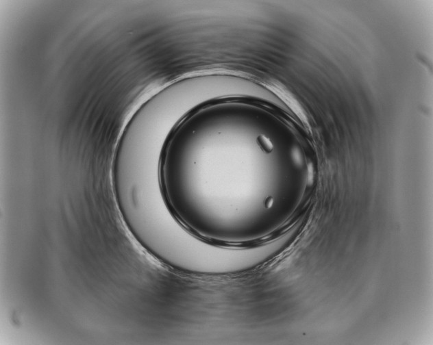 X0000098030813200804071415