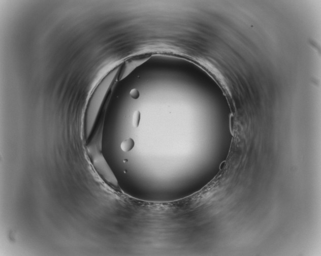 X0000098030815200804071415