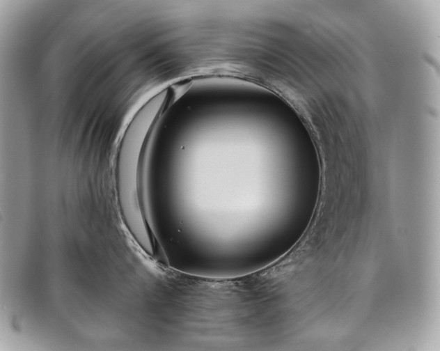 X0000098030816200804071415