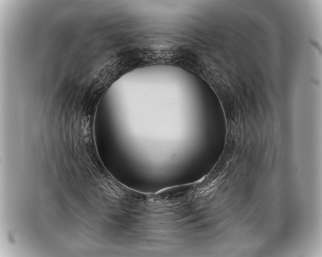 X0000098030818200804071414