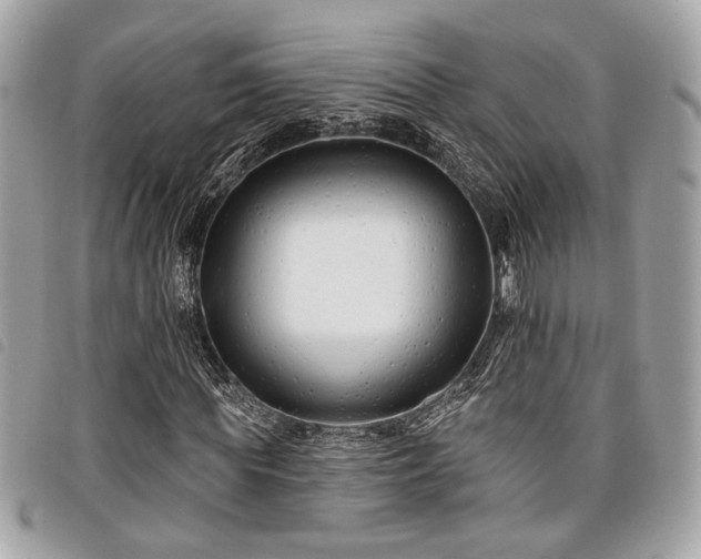 X0000098030819200804071414