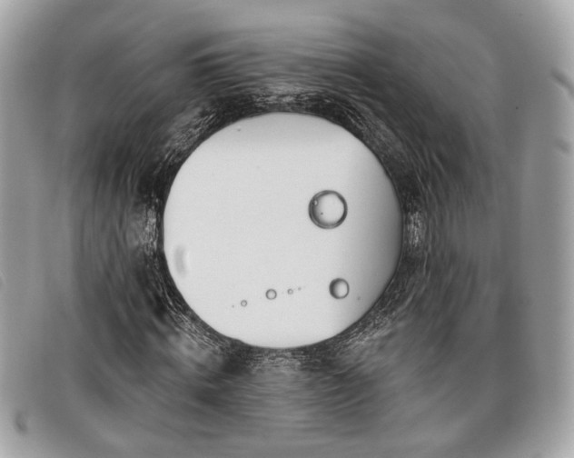 X0000098030820200804071414