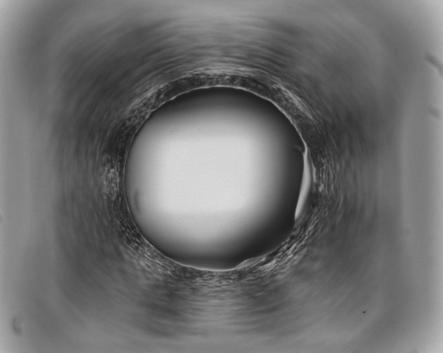 X0000098030821200804071414