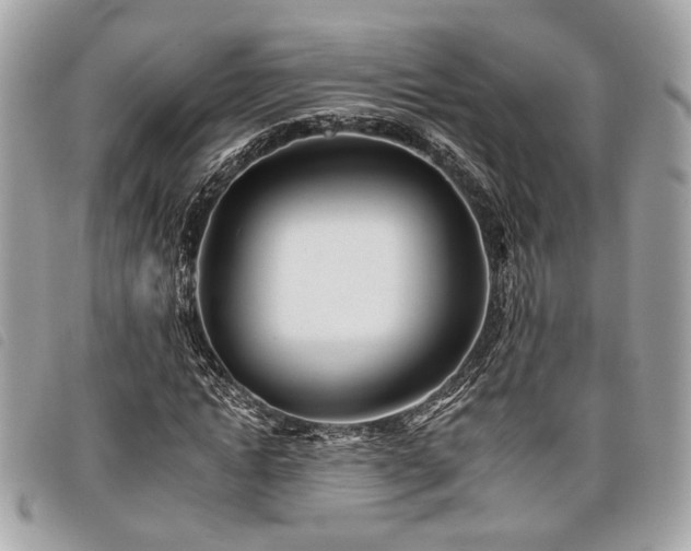 X0000098030822200804071414