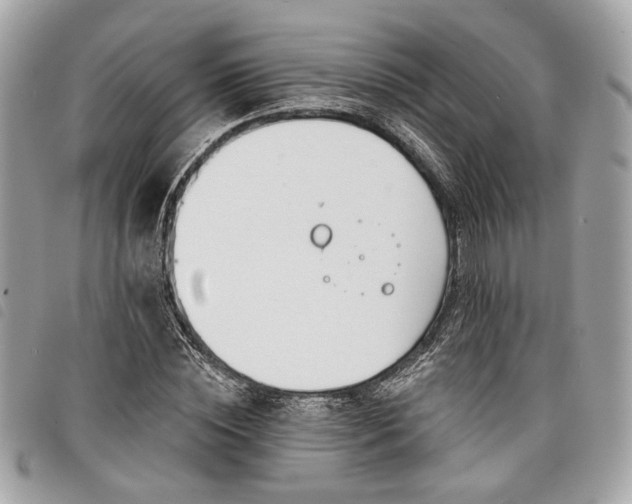 X0000098030828200804071414