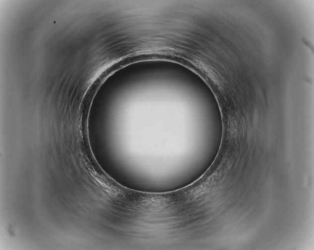 X0000098030830200804071414