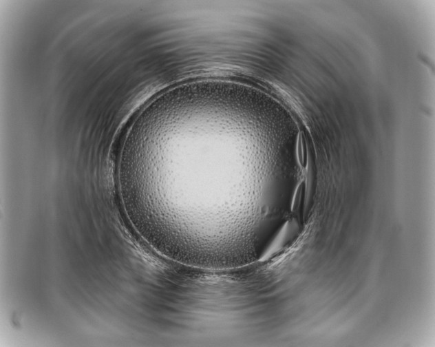 X0000098030835200804071414